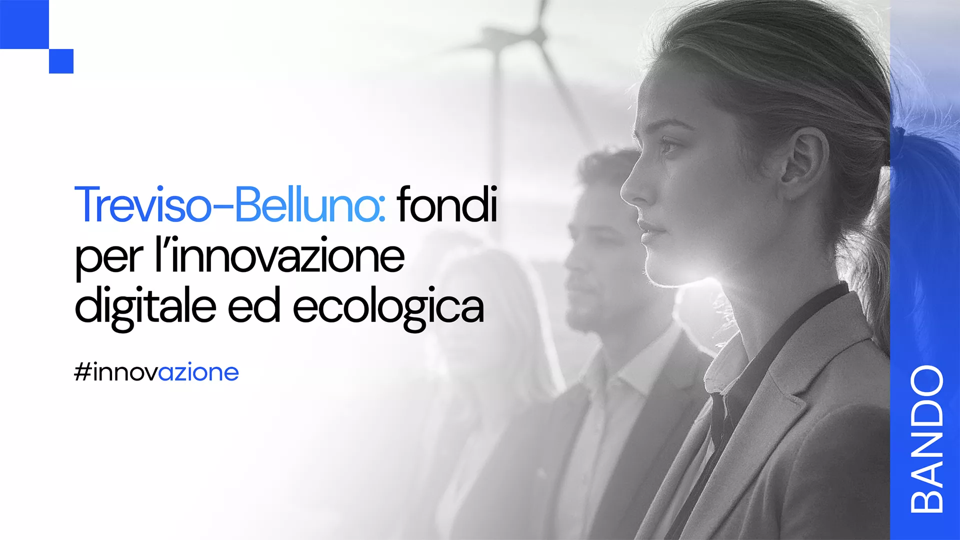 Finanziamenti per digitalizzazione e sostenibilità: il bando della CCIAA Treviso-Belluno